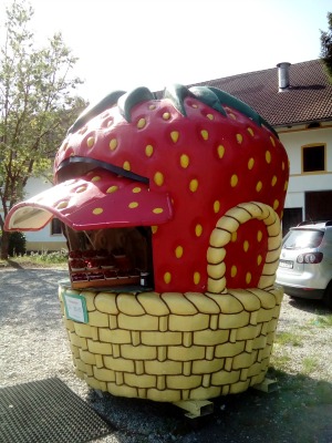 Zorneding Strawberry Frau