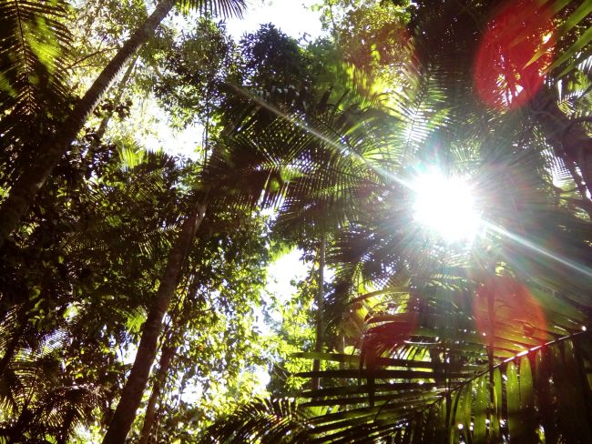 Cairns Queensland Australia