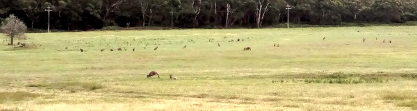 Great Ocean Road Victoria Australia JWalking