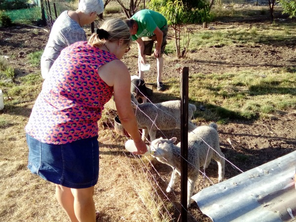 Mount Cook New Zealand JWalking