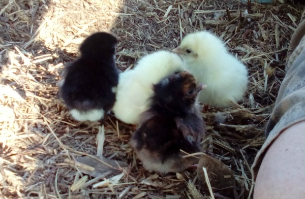Mount Cook New Zealand JWalking