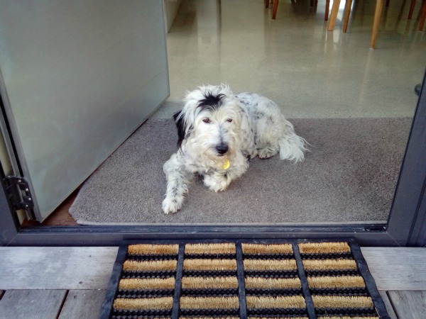Mount Cook New Zealand JWalking