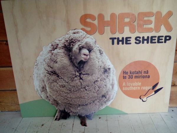 Mount Cook New Zealand JWalking