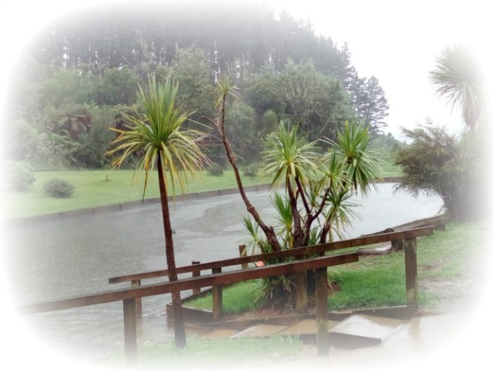 Rotorua New Zealand JWalking