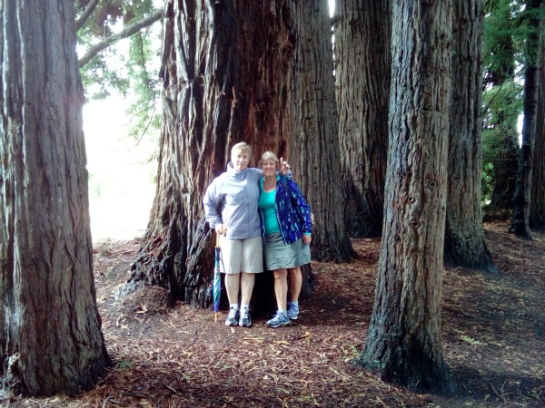 Barbara and Jo in the redwoods