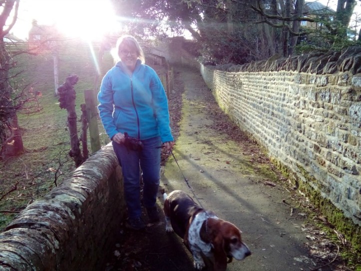 Mears Ashby