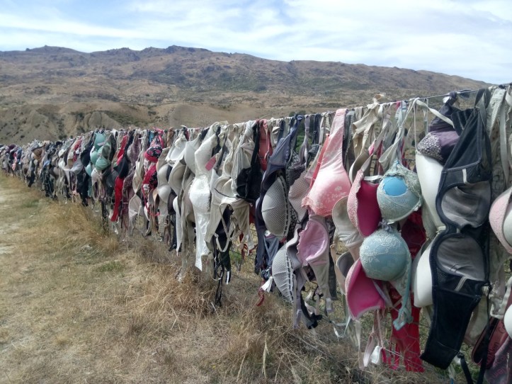 Cardrona Hotel Bras