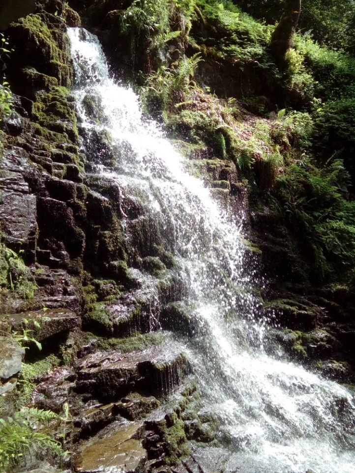 Birks of Aberfeldy