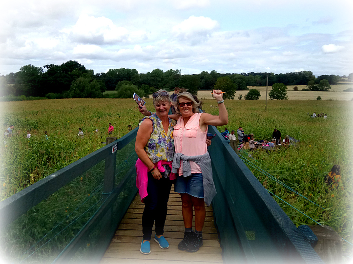 Wistow Maize Maze