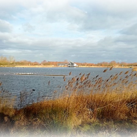 Stanwick lakes Northamptonshire