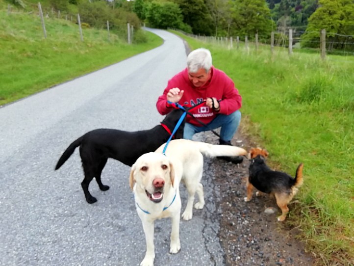 Pitlochry Dogs