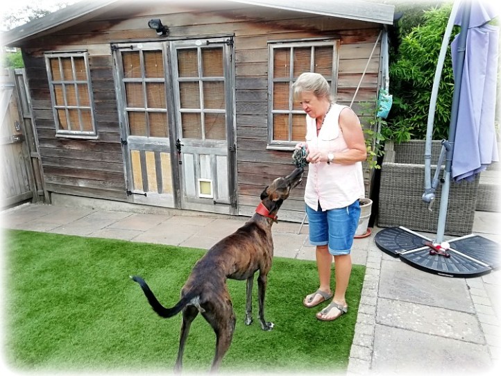 Canterbury Housesitting