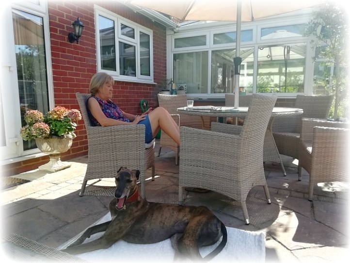 Canterbury Housesitting