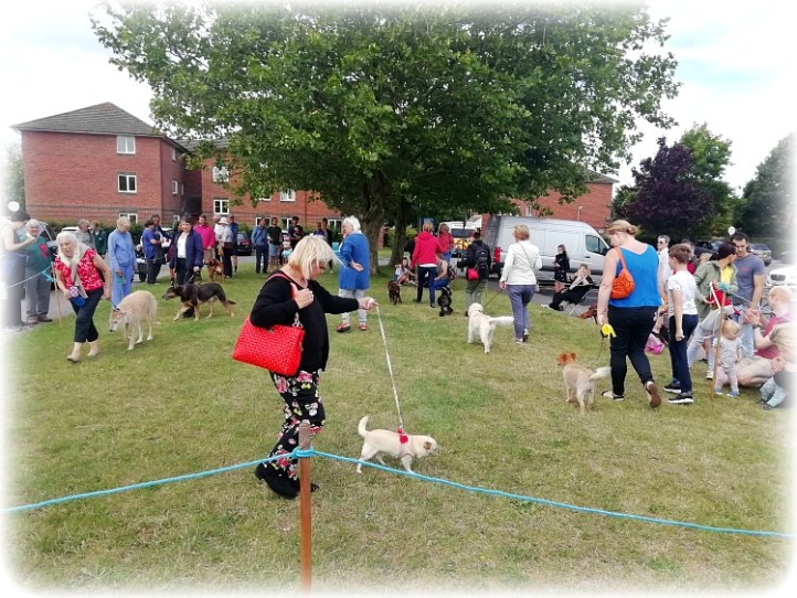 Canterbury Housesitting