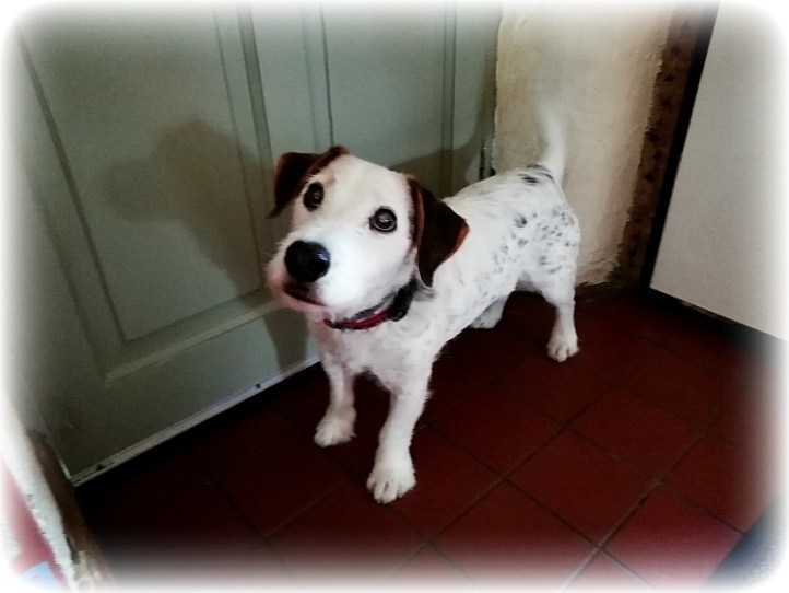 Warminster Wiltshire