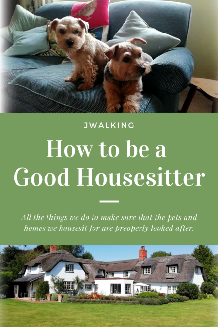 How to be a Good Housesitter