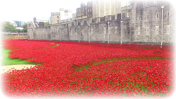 Remembrance Day Tower of London