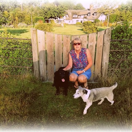 JWalking Housesitting 2019