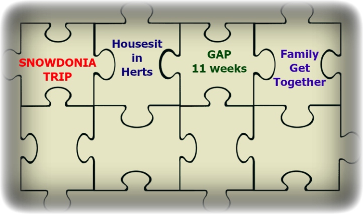 Housesitting Puzzle