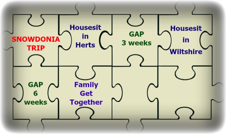 Housesitting Puzzle