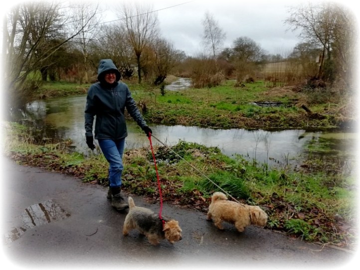 Housesitting in Cheriton Hampshire