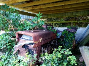 Lockdown: A to Z of Isolation