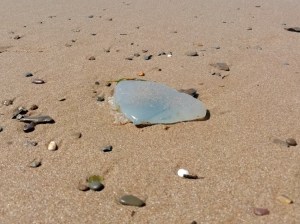 Lockdown: A to Z of Isolation