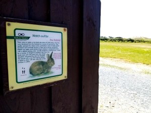 Lockdown: A to Z of Isolation