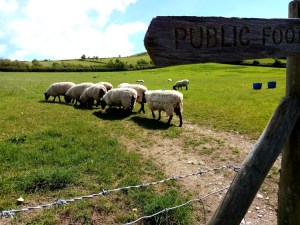 Lockdown: A to Z of Isolation