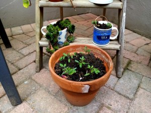 Lockdown: A to Z of Isolation