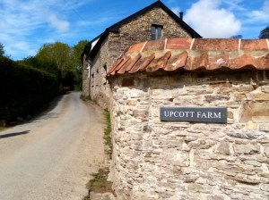 Lockdown: A to Z of Isolation