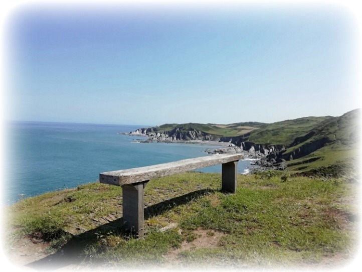South West Coastal Path Devon