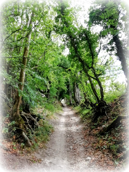Devils Dyke South Downs