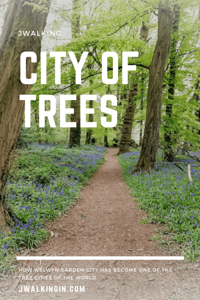 Welwyn Garden City - City of Trees