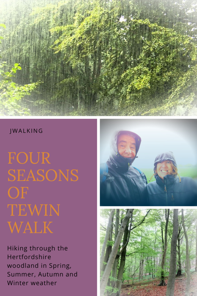 Four Seasons of Tewin Walk - Welwyn Garden City, Hertfordshire, England