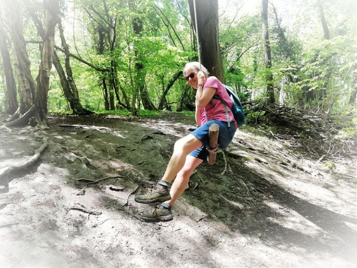 Red Tractor Trail - Welwyn Hertfordshire