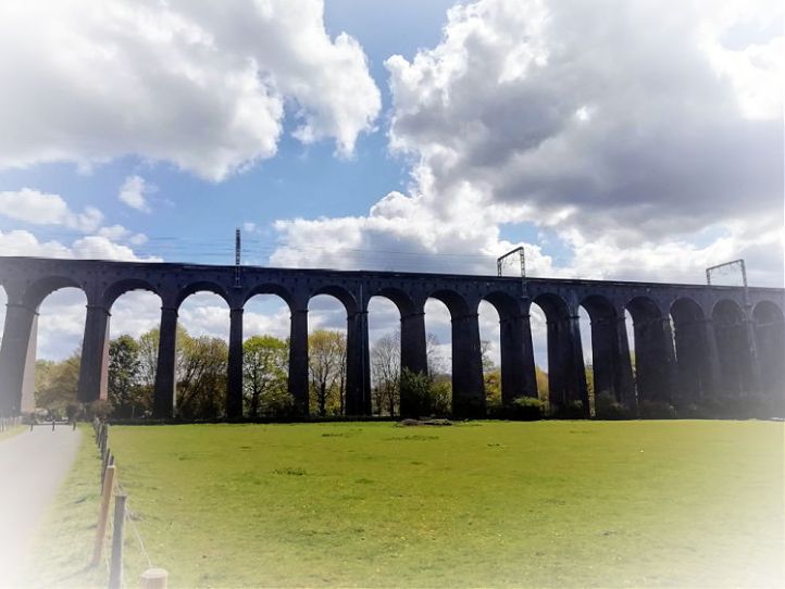 Red Tractor Trail - Welwyn Hertfordshire