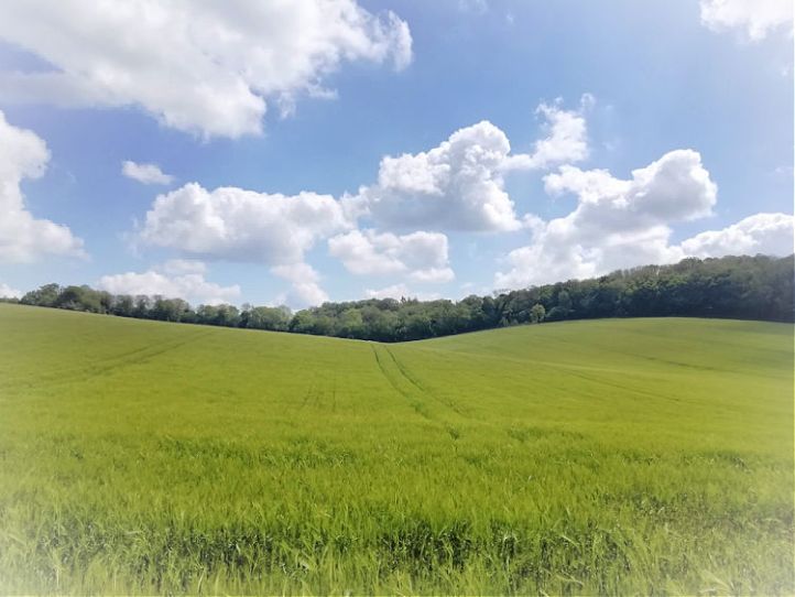 Red Tractor Trail - Welwyn Hertfordshire