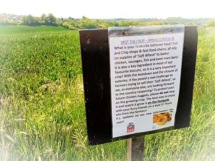 Red Tractor Trail - Welwyn Hertfordshire