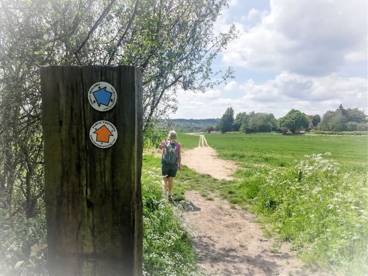 Red Tractor Trail - Welwyn Hertfordshire
