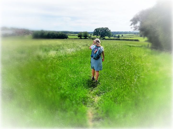 why we took a break from blogging