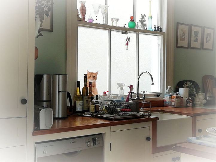 Lion-O the ThunderCat